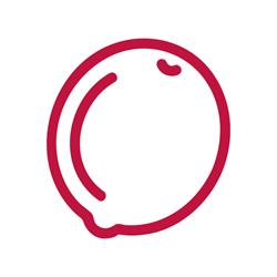 RedLime - vitamina per la comunicazione, Roveredo in Piano orari di apertura