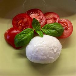 Angolo del gusto, Empoli orari di apertura