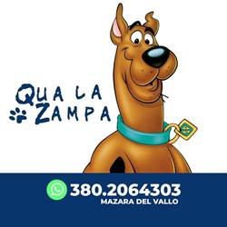 Qua la Zampa Mazara, Mazara del Vallo orari di apertura