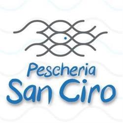 Pescheria San Ciro, Bari orari di apertura