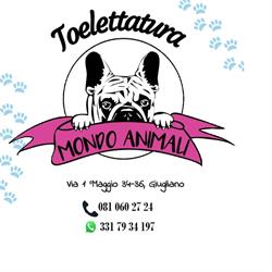 Mondo Animali Pet Shop Toelettatura e Spa, Giugliano in Campania orari di apertura
