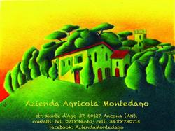 Azienda Agricola Montedago, Ancona orari di apertura