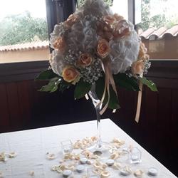 Il Sogno di Noemi, Melicucco orari di apertura