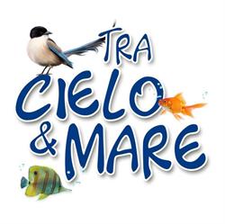 TRA CIELO E MARE, Palagiano orari di apertura
