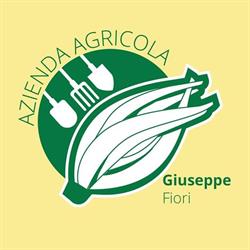 Cardo di Cervia, orari di apertura