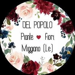 Del Popolo, Miggiano orari di apertura