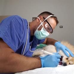 Ambulatorio Veterinario Dott Giancane, Lequile orari di apertura