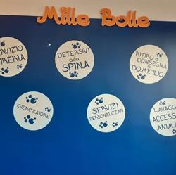Mille Bolle Orbassano, orari di apertura
