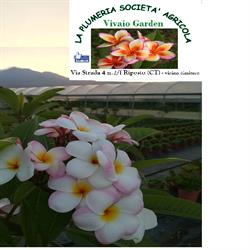 La Plumeria Societa' Agricola, Riposto orari di apertura