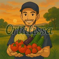 Ortalissa, Oristano orari di apertura