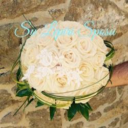 Su Lepiri Sposu di Carcangiu Emanuele, Mogorella orari di apertura
