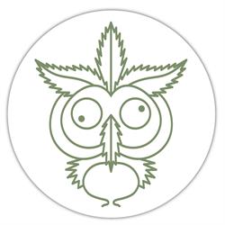 Grace Shop - Giarre, orari di apertura