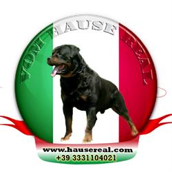 Rottweiler Vom Hause REAL, Sacrofano orari di apertura