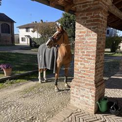 QUINTO Equestrian Centre, Stradella orari di apertura