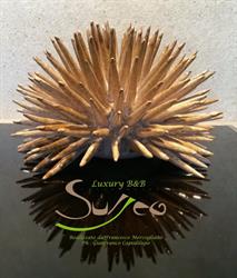 Surreo Luxury Bed & Breakfast, Sorrento orari di apertura
