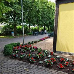 Gelateria MAMMA MIA, Antegnate orari di apertura