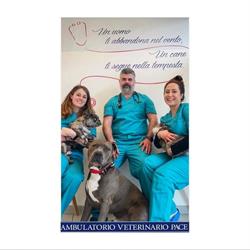 Ambulatorio Veterinario Pace, Macerata orari di apertura