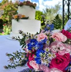 Saticulaflores di Monteforte Anna, Sant'Agata de' Goti orari di apertura