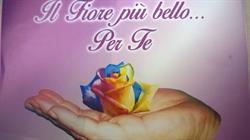 Il fiore piu' bello.per te, San Pietro Vernotico orari di apertura
