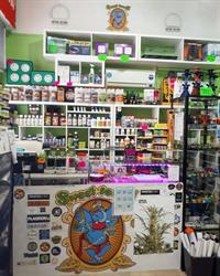 Canapaio Vignola - Deep Roots Grow Shop, orari di apertura