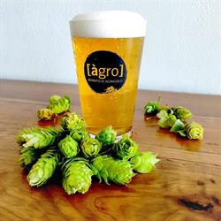 Birrificio àgro, Giais orari di apertura