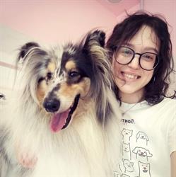 La casa di Polly, Poppi orari di apertura