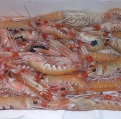 Pescheria Siano, Sarno orari di apertura