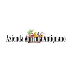 Azienda agricola Antignano, Qualiano orari di apertura