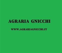 Agraria Gnicchi, Viadana orari di apertura