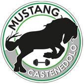 Palestra Mustang Castenedolo, orari di apertura