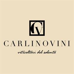Carlinovini, Matino orari di apertura