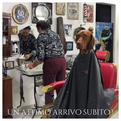 Giose Barber'art, Venaria Reale orari di apertura