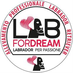 Allevamento Professionale Labrador LABFORDREAM, Mestrino orari di apertura