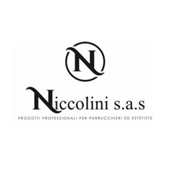 Niccolini Sas, Pisa orari di apertura