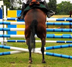 La Torretta - Scuola di Equitazione & Pony Club, Parma orari di apertura
