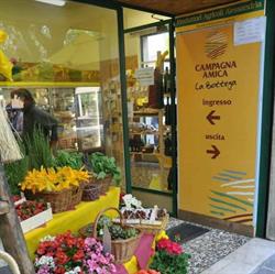 Bottega ACQUI TERME Gaglione, Acqui Terme orari di apertura