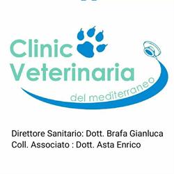 Clinica Veterinaria del Mediterraneo, Pozzallo orari di apertura