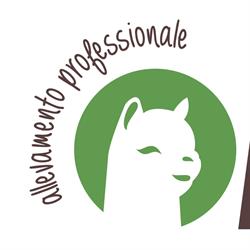 Quadrifoglio Alpaca, Quargnento orari di apertura