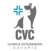 Clinica Veterinaria Cavaria, Cavaria con Premezzo orari di apertura