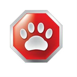 Pet Stop, Piedimonte Etneo orari di apertura