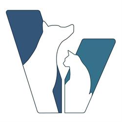 Ambulatorio Veterinario Verdello, orari di apertura