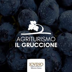 Agriturismo Il Gruccione, Pozzuoli orari di apertura