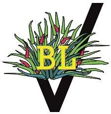 Vivai Piante Brazzale Luigi, Preganziol orari di apertura
