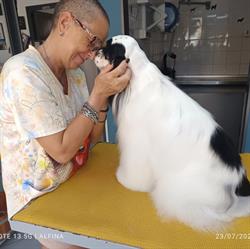 Barber Dog Siracusa, orari di apertura