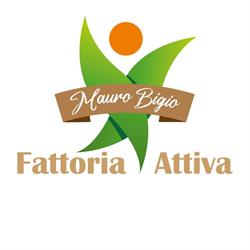 Fattoria Attiva di Bigio Mauro, Sanremo orari di apertura