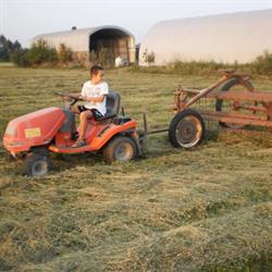Azienda Agricola Biologica Cascina Gambina, Castel Goffredo orari di apertura