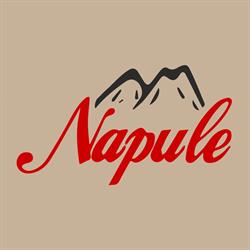 Pizzeria Napule, Francavilla Fontana orari di apertura