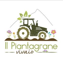 Vivaio Il Piantagrane di Federico Fabris, Susa orari di apertura