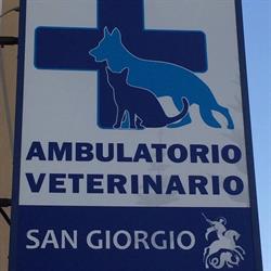 Ambulatorio Veterinario San Giorgio, Vieste orari di apertura