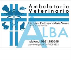 Ambulatorio veterinario Alba, Teramo orari di apertura